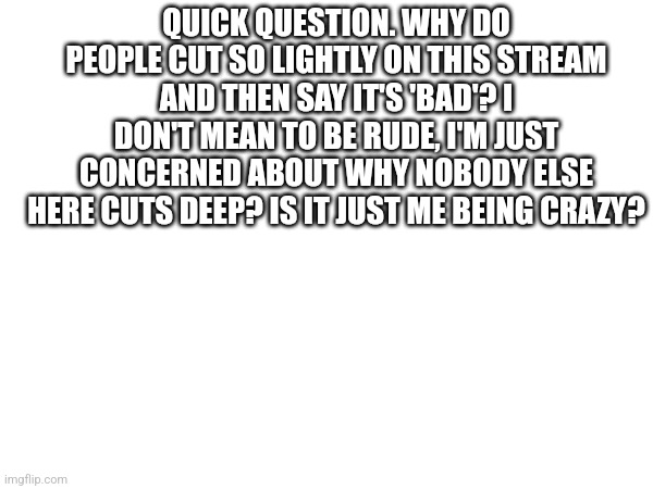 Not being rude just saying yk | QUICK QUESTION. WHY DO PEOPLE CUT SO LIGHTLY ON THIS STREAM AND THEN SAY IT'S 'BAD'? I DON'T MEAN TO BE RUDE, I'M JUST CONCERNED ABOUT WHY NOBODY ELSE HERE CUTS DEEP? IS IT JUST ME BEING CRAZY? | image tagged in question | made w/ Imgflip meme maker