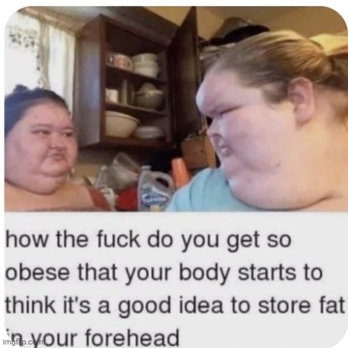 image tagged in obesity,memes,rare insults | made w/ Imgflip meme maker