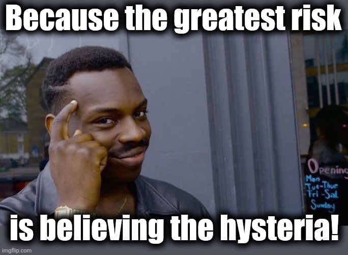 Roll Safe Think About It Meme | Because the greatest risk is believing the hysteria! | image tagged in memes,roll safe think about it | made w/ Imgflip meme maker