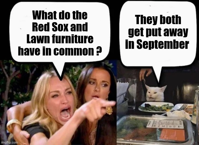 Don't eat the Cat | What do the Red Sox and Lawn furniture have in common ? They both get put away in September | image tagged in don't eat the cat | made w/ Imgflip meme maker