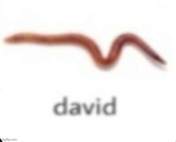 david | image tagged in david | made w/ Imgflip meme maker