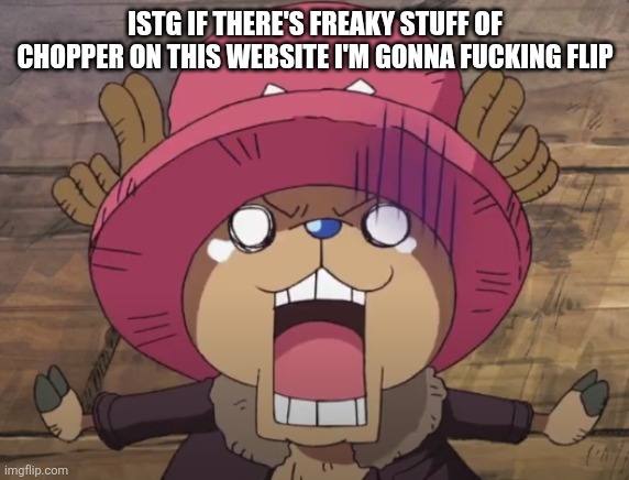 Eh there probably is I'm not gonna over-react ig | ISTG IF THERE'S FREAKY STUFF OF CHOPPER ON THIS WEBSITE I'M GONNA FUCKING FLIP | made w/ Imgflip meme maker