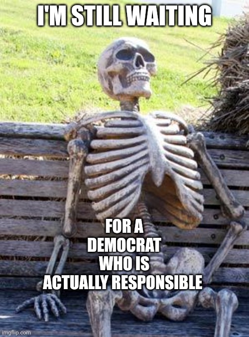 Time flies | I'M STILL WAITING; FOR A DEMOCRAT WHO IS ACTUALLY RESPONSIBLE | image tagged in memes,waiting skeleton,politics | made w/ Imgflip meme maker