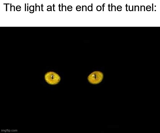 The light at the end of the tunnel: | made w/ Imgflip meme maker