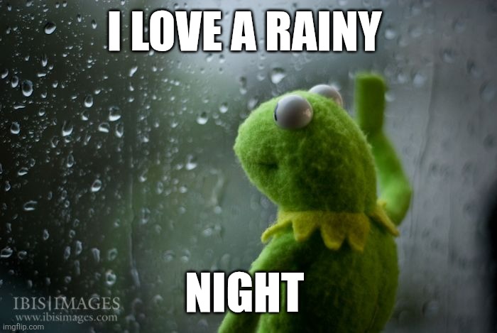 Rainy Night | I LOVE A RAINY; NIGHT | image tagged in kermit window,funny memes | made w/ Imgflip meme maker