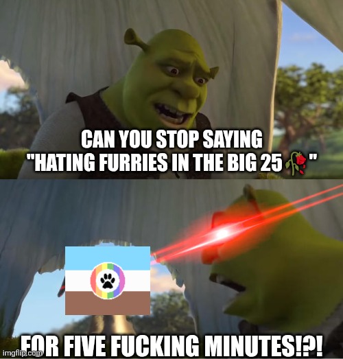 Shrek For Five Minutes | CAN YOU STOP SAYING "HATING FURRIES IN THE BIG 25🥀"; FOR FIVE FUCKING MINUTES!?! | image tagged in shrek for five minutes | made w/ Imgflip meme maker
