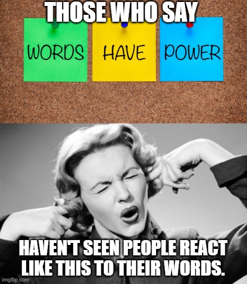 When words DON'T have power | THOSE WHO SAY; HAVEN'T SEEN PEOPLE REACT
LIKE THIS TO THEIR WORDS. | image tagged in if i ignore the truth it will go away,words have power,not listening,uncaring,ignoring | made w/ Imgflip meme maker