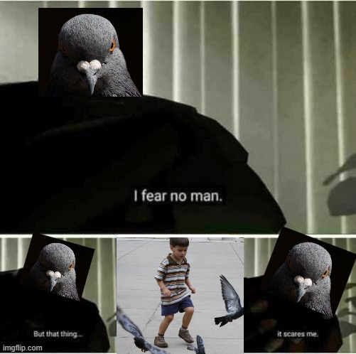 Pigeon Fear Child | image tagged in i fear no man | made w/ Imgflip meme maker