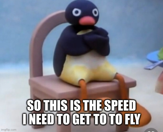 Angry pingu | SO THIS IS THE SPEED I NEED TO GET TO TO FLY | image tagged in angry pingu | made w/ Imgflip meme maker