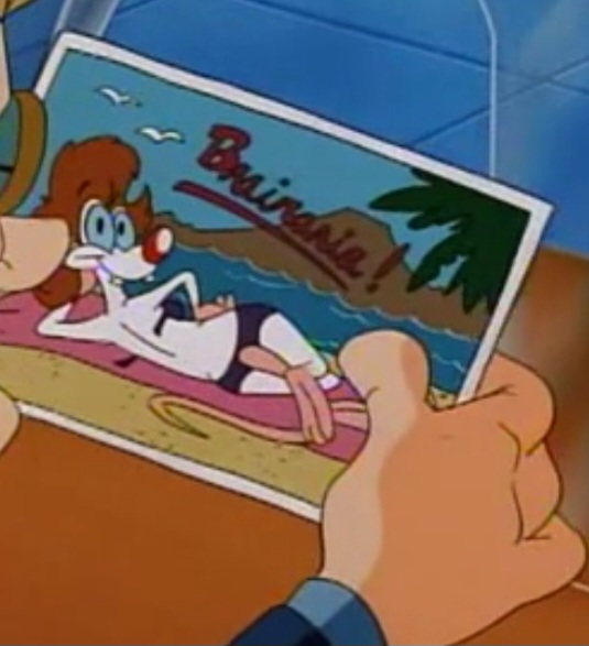 Pinky and the Brain: Pinky in a bikini Blank Meme Template