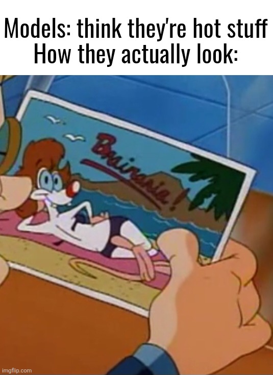 "Narf!" | Models: think they're hot stuff

How they actually look: | image tagged in pinky and the brain,memes,cartoon,funny,models,looney tunes | made w/ Imgflip meme maker