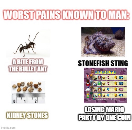 That just stings doesn't it? | LOSING MARIO PARTY BY ONE COIN | image tagged in most painful things known to man | made w/ Imgflip meme maker