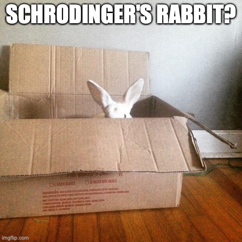 Soon rabbit | SCHRODINGER'S RABBIT? | image tagged in soon rabbit | made w/ Imgflip meme maker