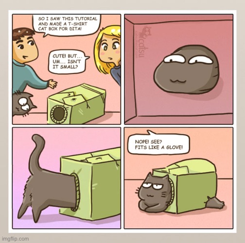 A new hybrid of cat and box? | image tagged in cats,comics,snug fit,cat box | made w/ Imgflip meme maker