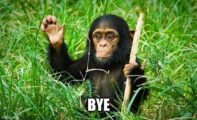 goodbye | BYE | image tagged in goodbye | made w/ Imgflip meme maker