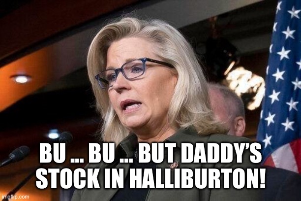 The real reason Liz Cheney turned against Trump | BU … BU … BUT DADDY’S STOCK IN HALLIBURTON! | image tagged in liz cheney | made w/ Imgflip meme maker