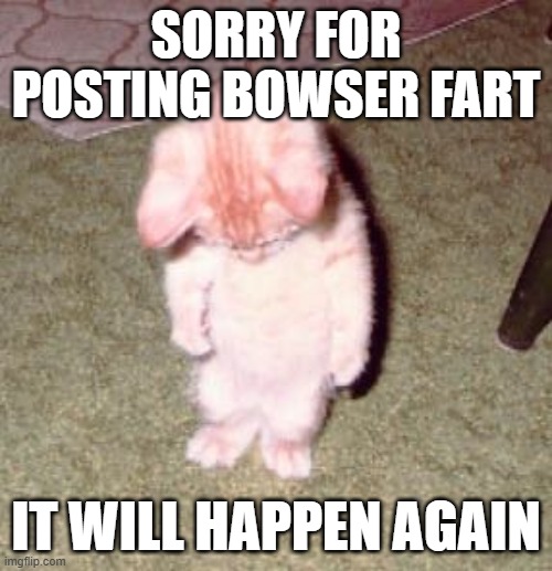 sorry it will happen again | SORRY FOR POSTING BOWSER FART; IT WILL HAPPEN AGAIN | image tagged in sorry it will happen again | made w/ Imgflip meme maker