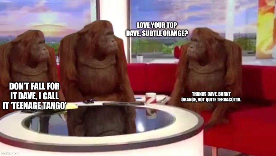 where monkey | LOVE YOUR TOP DAVE, SUBTLE ORANGE? DON’T FALL FOR IT DAVE, I CALL IT ‘TEENAGE TANGO’; THANKS DAVE, BURNT ORANGE, NOT QUITE TERRACOTTA. | image tagged in where monkey | made w/ Imgflip meme maker