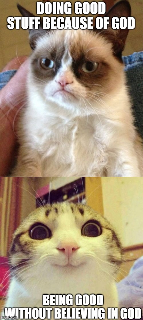 I respect christians, but I don't believe | DOING GOOD STUFF BECAUSE OF GOD; BEING GOOD WITHOUT BELIEVING IN GOD | image tagged in memes,grumpy cat,smiling cat | made w/ Imgflip meme maker