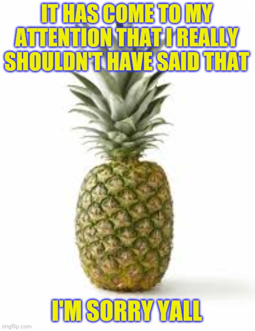 Sethamphetamine announcement temp | IT HAS COME TO MY ATTENTION THAT I REALLY SHOULDN'T HAVE SAID THAT; I'M SORRY YALL | image tagged in sethamphetamine announcement temp | made w/ Imgflip meme maker