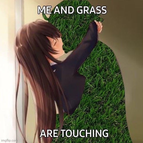 Me and grass are touching | image tagged in me and grass are touching | made w/ Imgflip meme maker