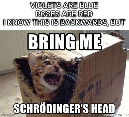 I suck at poetry | VIOLETS ARE BLUE ROSES ARE RED
I KNOW THIS IS BACKWARDS, BUT | image tagged in memes,funny,cats,roses are red,roses are red violets are blue | made w/ Imgflip meme maker