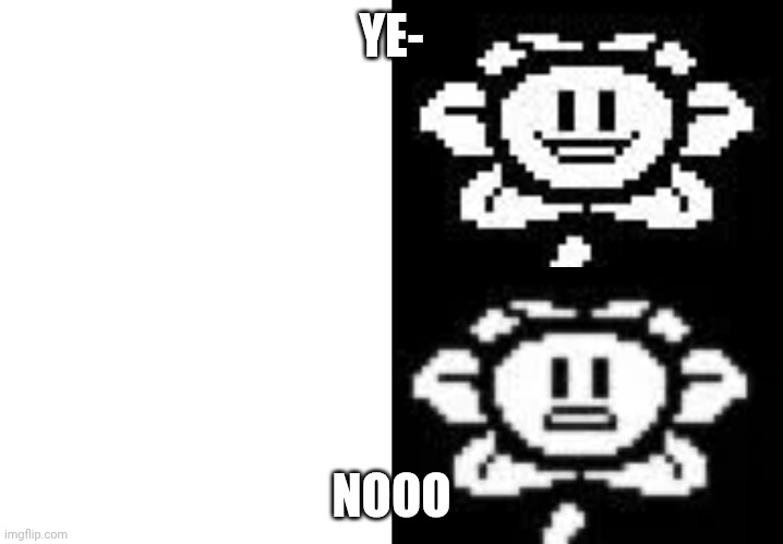 flowey smile | YE-; NOOO | image tagged in flowey smile | made w/ Imgflip meme maker