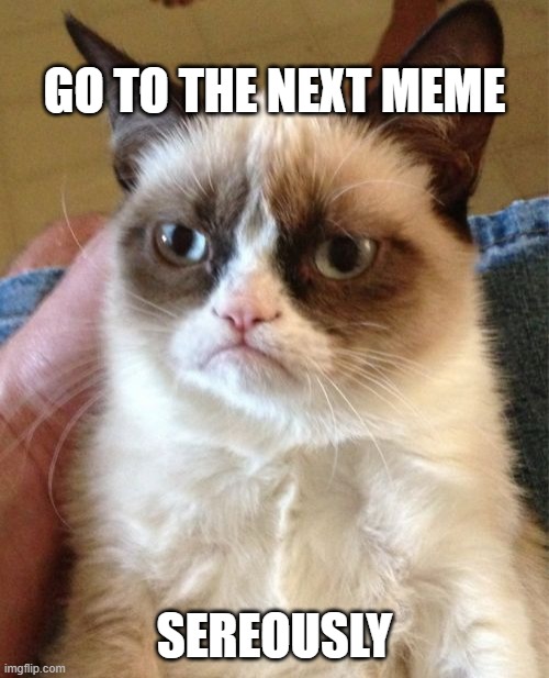go to the next meme | GO TO THE NEXT MEME; SEREOUSLY | image tagged in memes,grumpy cat | made w/ Imgflip meme maker