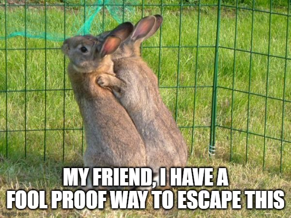 Bunny Escape | MY FRIEND, I HAVE A FOOL PROOF WAY TO ESCAPE THIS | image tagged in bunnies | made w/ Imgflip meme maker