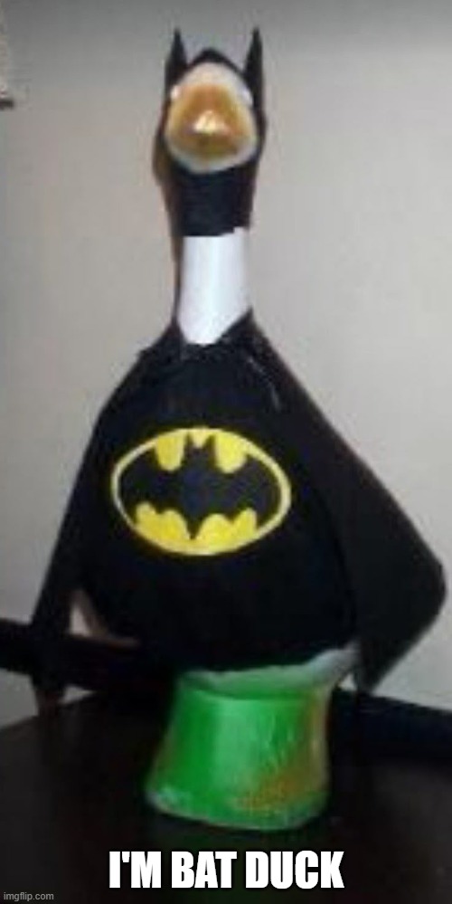 Caped Duck | I'M BAT DUCK | image tagged in ducks | made w/ Imgflip meme maker
