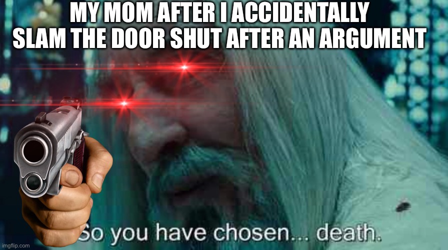So you have chosen death | MY MOM AFTER I ACCIDENTALLY SLAM THE DOOR SHUT AFTER AN ARGUMENT | image tagged in so you have chosen death | made w/ Imgflip meme maker