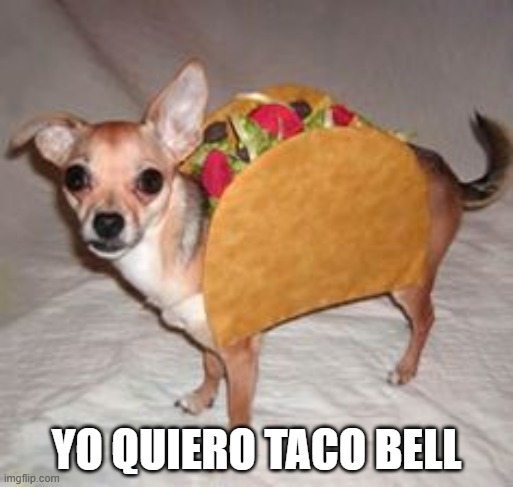 The Real Taco Bell Dog | YO QUIERO TACO BELL | image tagged in dogs | made w/ Imgflip meme maker