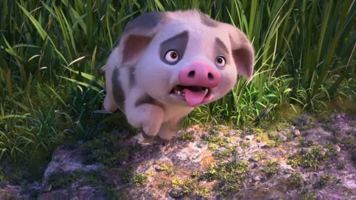 Pua is tired Blank Meme Template