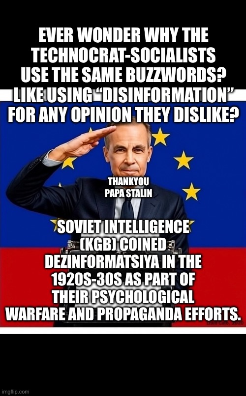 CanadaRising | EVER WONDER WHY THE TECHNOCRAT-SOCIALISTS USE THE SAME BUZZWORDS? LIKE USING “DISINFORMATION” FOR ANY OPINION THEY DISLIKE? SOVIET INTELLIGENCE (KGB) COINED DEZINFORMATSIYA IN THE 1920S-30S AS PART OF THEIR PSYCHOLOGICAL WARFARE AND PROPAGANDA EFFORTS. THANKYOU PAPA STALIN | image tagged in canadian politics | made w/ Imgflip meme maker