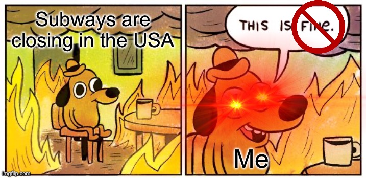 This Is Fine | Subways are closing in the USA; Me | image tagged in memes,this is fine | made w/ Imgflip meme maker