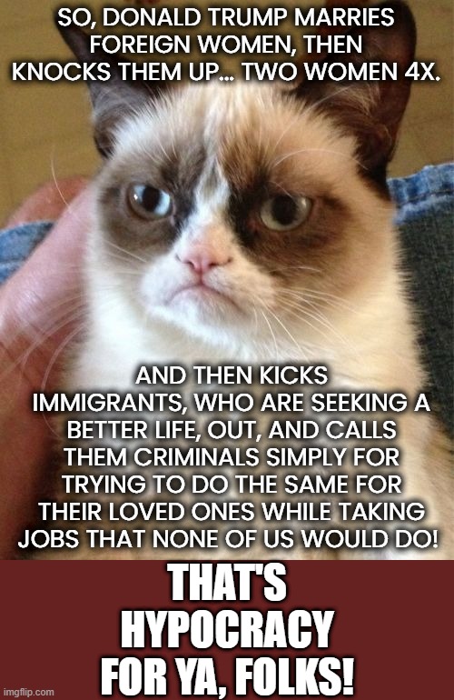 Donald Trump Hypocrite Extraordinaire | SO, DONALD TRUMP MARRIES FOREIGN WOMEN, THEN KNOCKS THEM UP... TWO WOMEN 4X. AND THEN KICKS IMMIGRANTS, WHO ARE SEEKING A BETTER LIFE, OUT, AND CALLS THEM CRIMINALS SIMPLY FOR TRYING TO DO THE SAME FOR THEIR LOVED ONES WHILE TAKING JOBS THAT NONE OF US WOULD DO! THAT'S HYPOCRACY FOR YA, FOLKS! | image tagged in memes,grumpy cat,hypocrites,donald trump,assholes | made w/ Imgflip meme maker