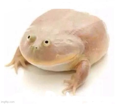 My Dudes | image tagged in my dudes | made w/ Imgflip meme maker