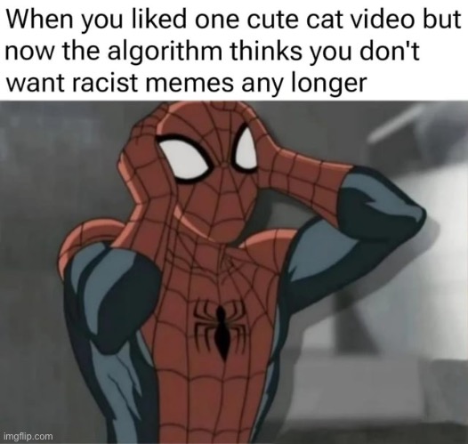 What if it was the Hitler cat? | image tagged in memes,funny,racist,cat,algorithm | made w/ Imgflip meme maker