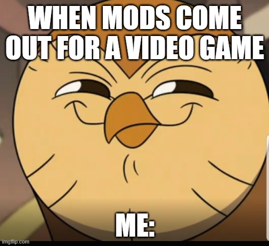 when mods come out for a video game | WHEN MODS COME OUT FOR A VIDEO GAME; ME: | image tagged in the owl house | made w/ Imgflip meme maker