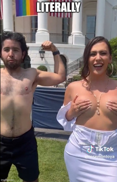 LITERALLY | image tagged in trans gay homo white house lawn | made w/ Imgflip meme maker