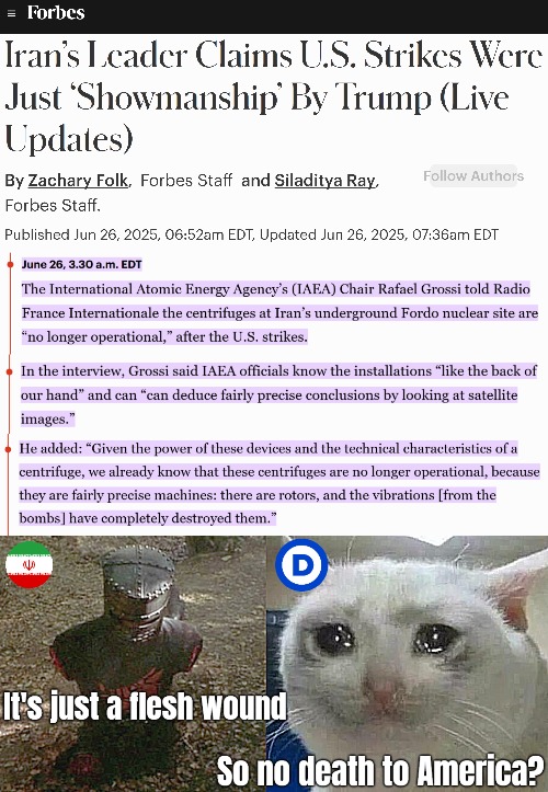 Like with all Democrat Insurrection news, you just need to wait a little... | image tagged in democrats,iran,media lies,crying cat,monty python black knight | made w/ Imgflip meme maker