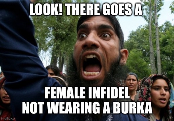 rageboy screaming islamist | LOOK! THERE GOES A FEMALE INFIDEL NOT WEARING A BURKA | image tagged in rageboy screaming islamist | made w/ Imgflip meme maker