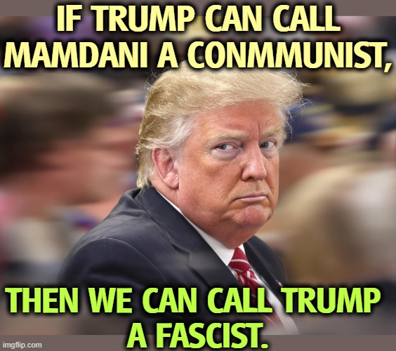 Trump crazy paranoid senile dementia | IF TRUMP CAN CALL MAMDANI A CONMMUNIST, THEN WE CAN CALL TRUMP 
A FASCIST. | image tagged in trump crazy paranoid senile dementia,mamdani,socialist,communist,trump,fascist | made w/ Imgflip meme maker