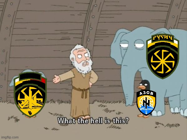 Rusich and Azov | image tagged in what the hell is this,russo-ukrainian war,neo-nazis | made w/ Imgflip meme maker