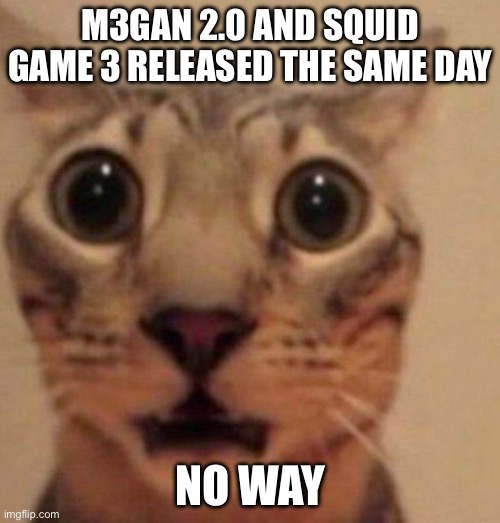Yeah. | M3GAN 2.0 AND SQUID GAME 3 RELEASED THE SAME DAY; NO WAY | image tagged in shocked cat,squid game,memes,funny | made w/ Imgflip meme maker