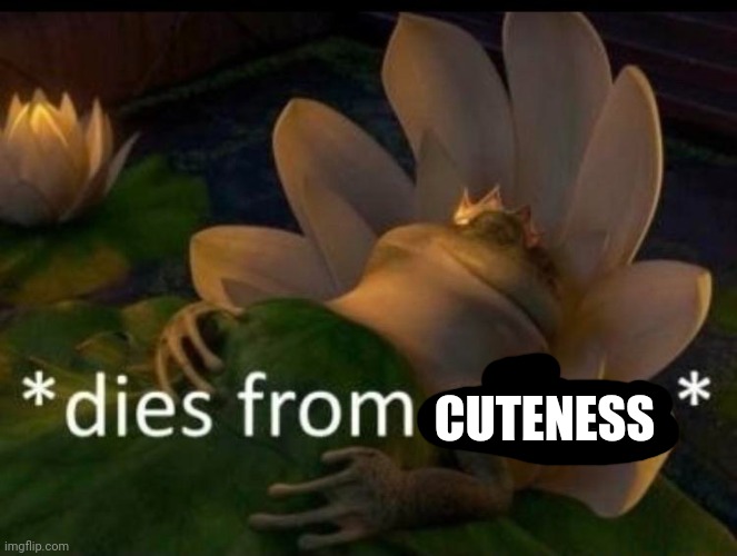 *dies of cringe* | CUTENESS | image tagged in dies of cringe | made w/ Imgflip meme maker