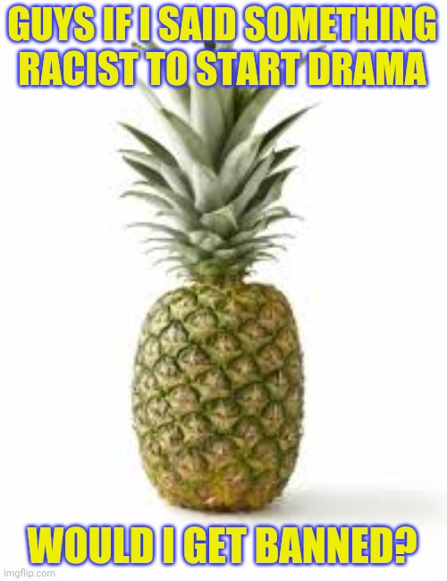 Sethamphetamine announcement temp | GUYS IF I SAID SOMETHING RACIST TO START DRAMA; WOULD I GET BANNED? | image tagged in sethamphetamine announcement temp | made w/ Imgflip meme maker