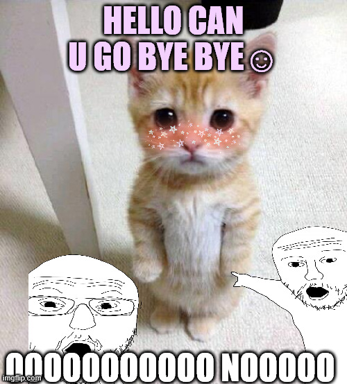 meow<3 | HELLO CAN U GO BYE BYE☺; OOOOOOOOOOO NOOOOO | image tagged in memes,cute cat | made w/ Imgflip meme maker