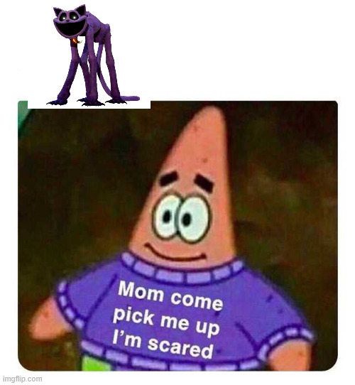 Patrick Mom come pick me up I'm scared | image tagged in patrick mom come pick me up i'm scared | made w/ Imgflip meme maker