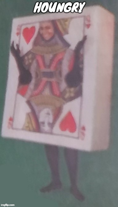 The card lady | HOUNGRY | image tagged in the card lady | made w/ Imgflip meme maker